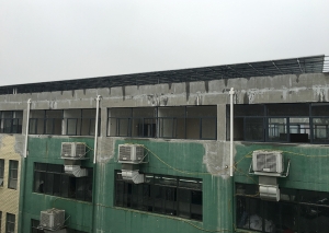 91大香蕉视频污91香蕉视频网站